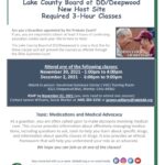 Guardian Continuing Education: Medications & Medical Advocacy